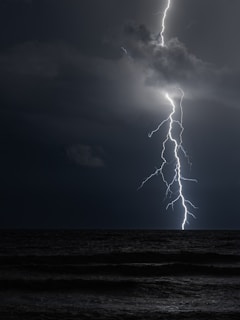 leafless tree on the beach under white clouds