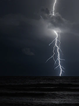 leafless tree on the beach under white clouds