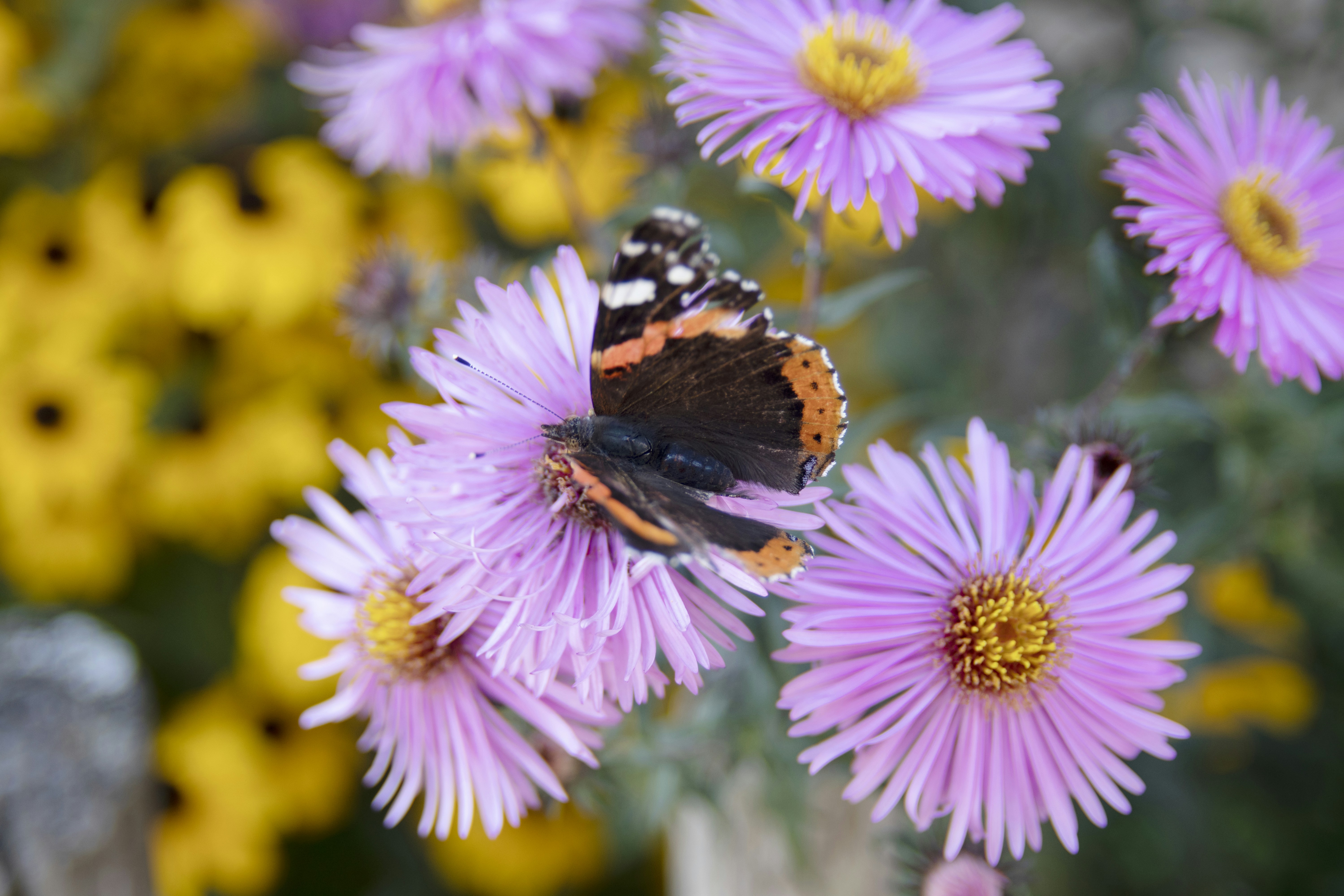 Photo by breadcrumbs