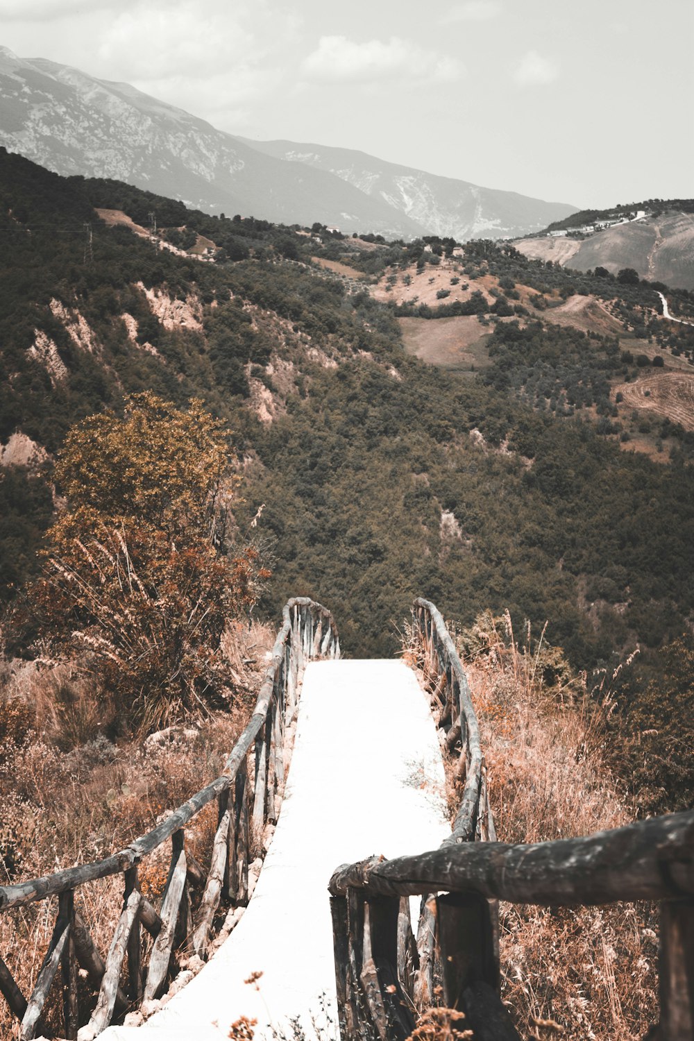 brown wooden bridge over the river