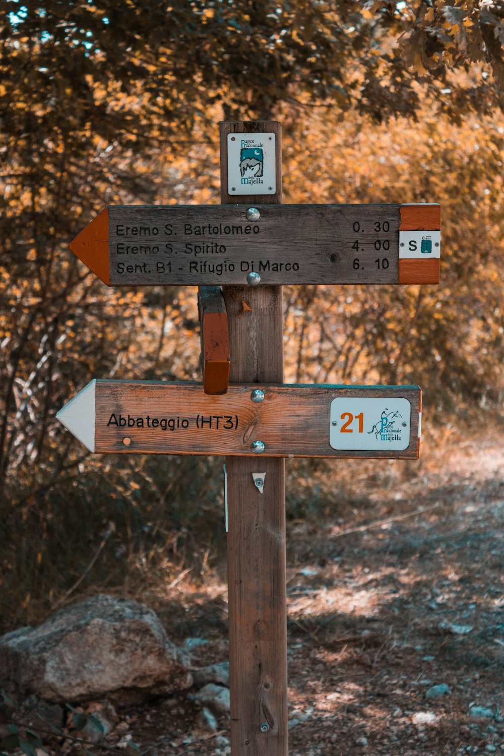 brown wooden signage on brown tree