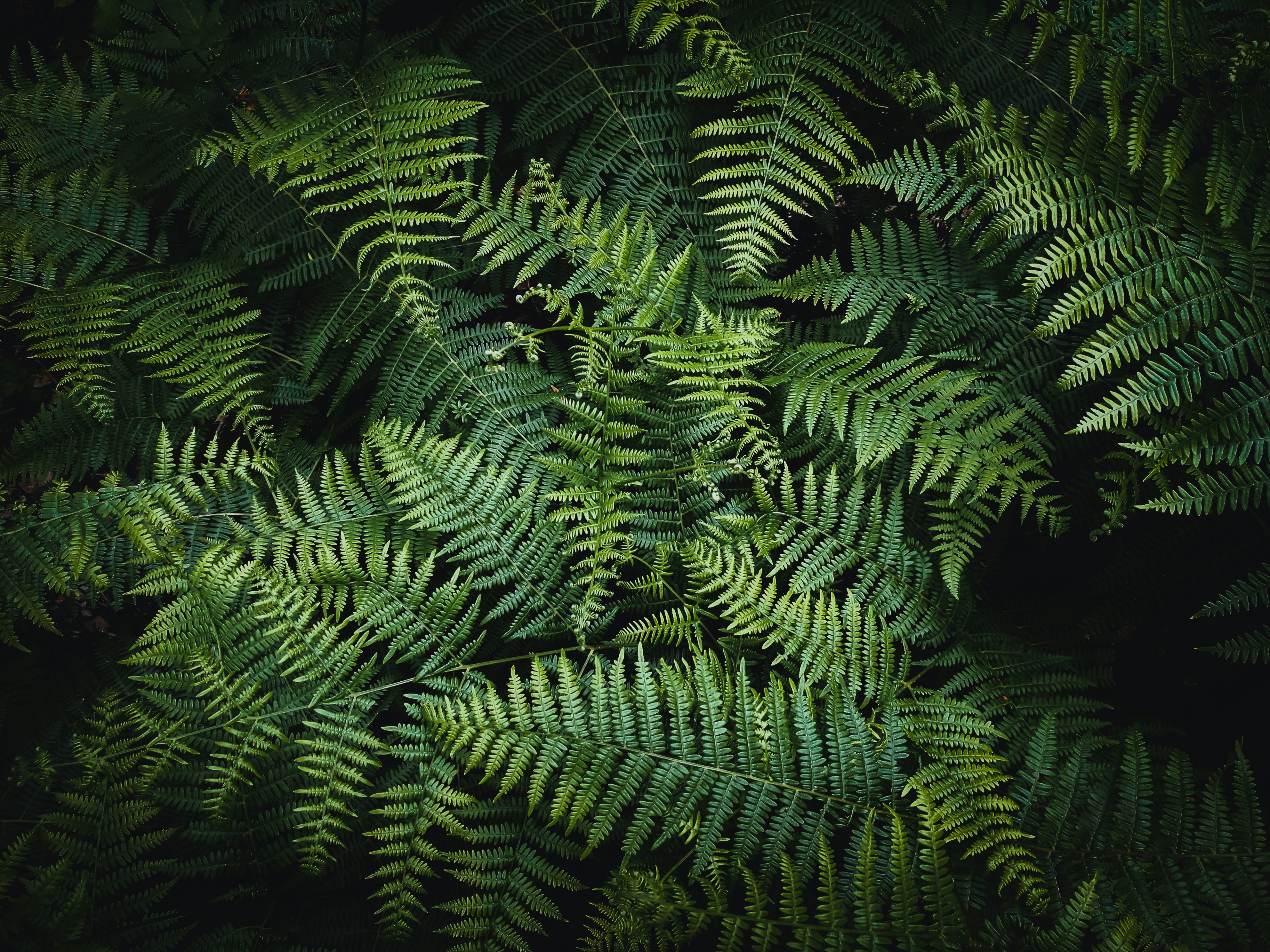 Photo by nature_explorer