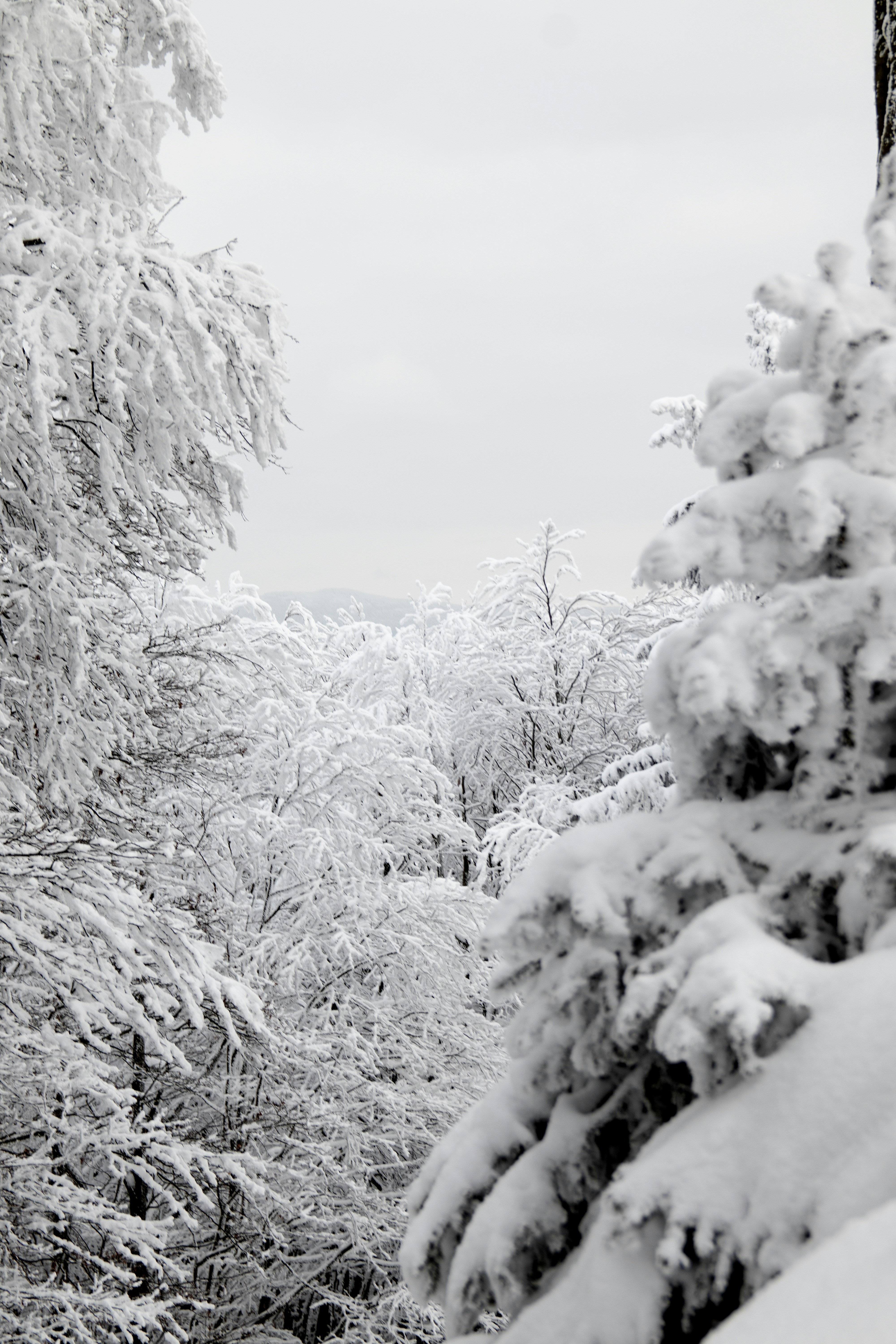 Photo by breadcrumbs