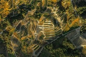 Aerial view of a hilly landscape with terraced fields. The terraces appear to be used for agriculture, likely farming or vineyards. The terrain is a mix of green vegetation and areas turning orange or yellow, indicating possibly the change of seasons. There are pathways cutting through the terraces, and the entire scene is bathed in warm sunlight, creating distinct shadows and highlights.