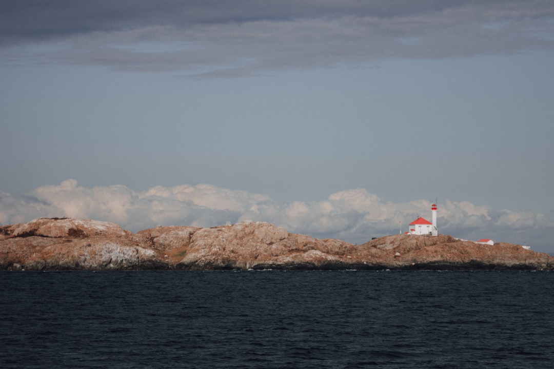 white lighthouse on brown rock formation near body of water during daytime