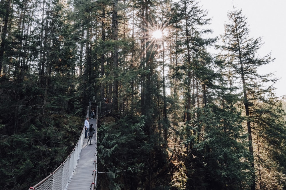 white hanging bridge surrounded by green trees during daytime