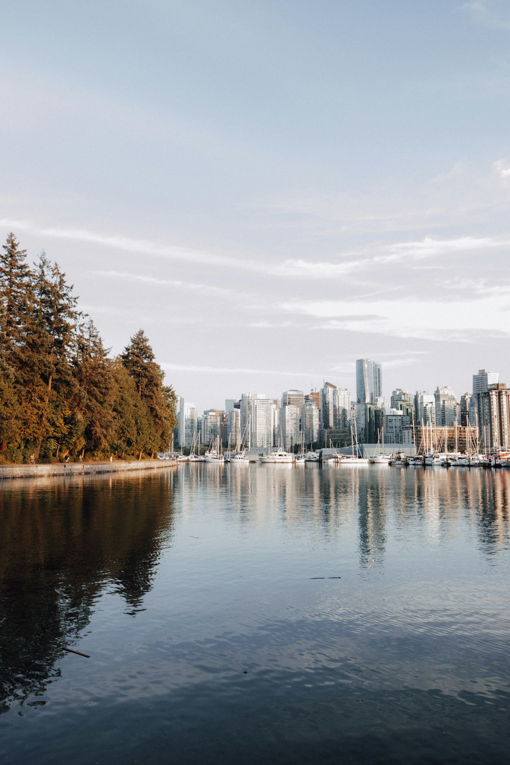 city skyline across body of water during daytime