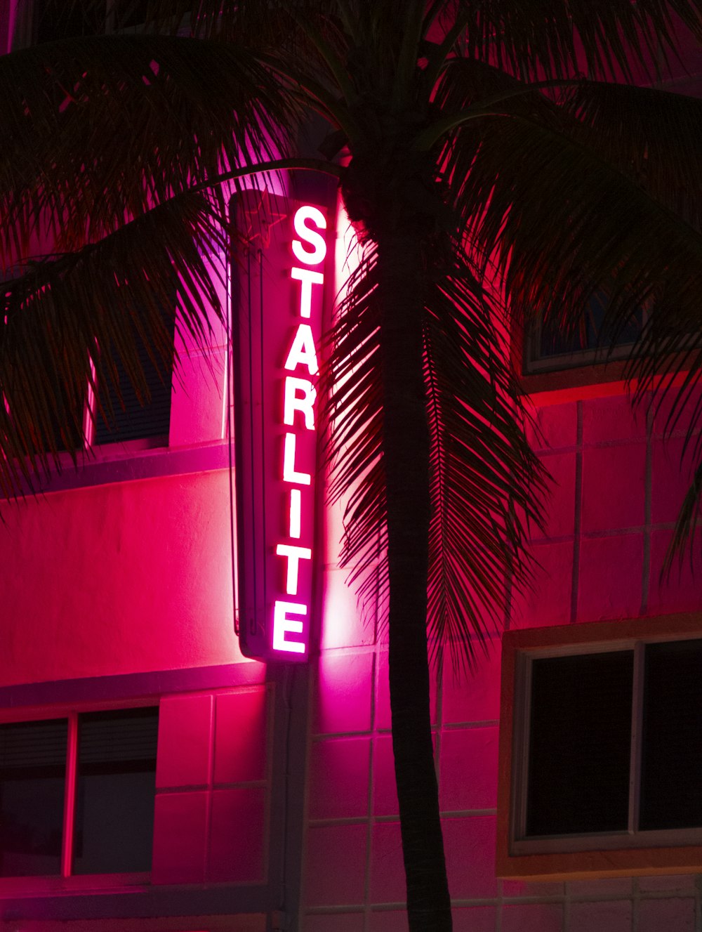a neon sign that reads starlight in front of a palm tree