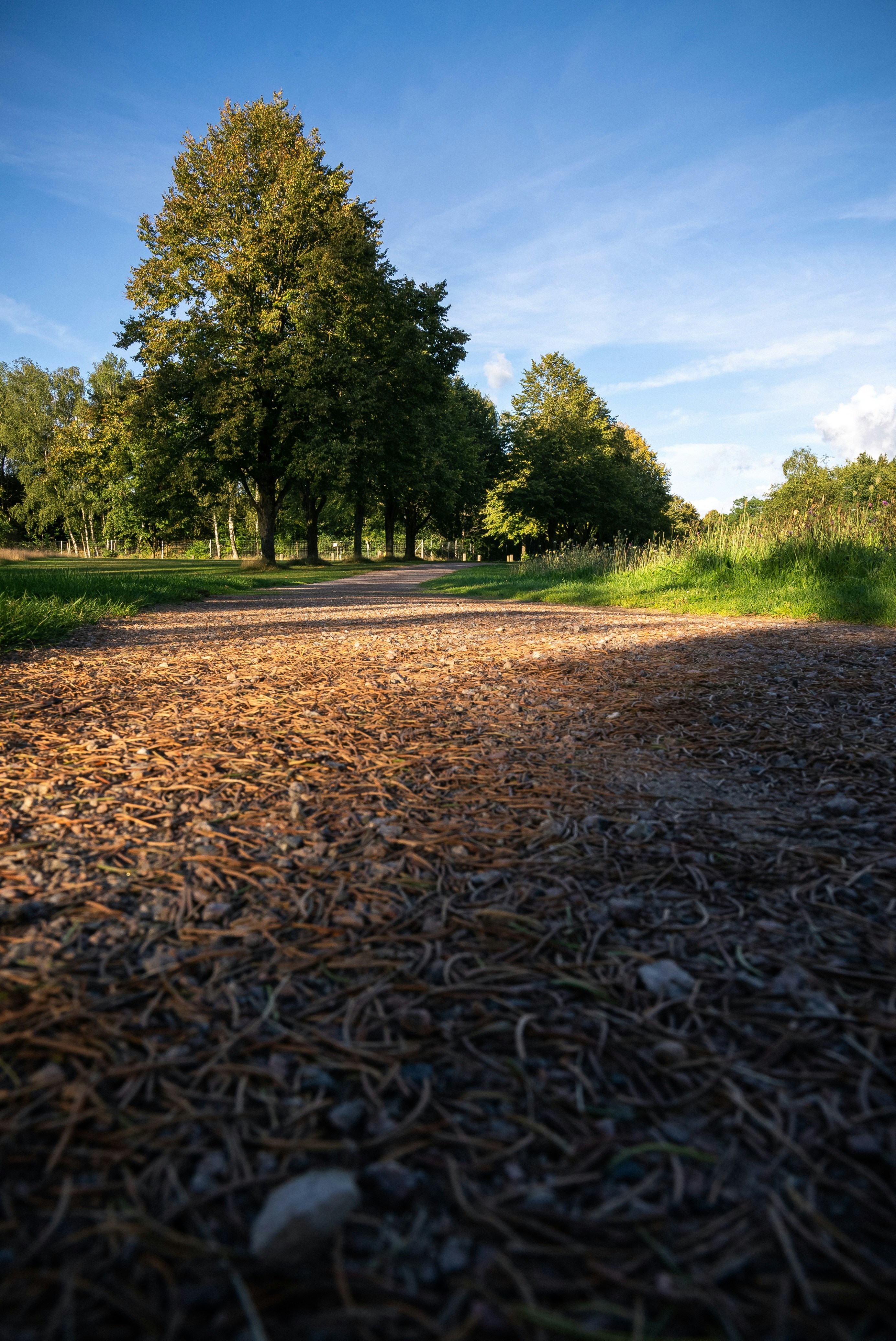 Photo by moritzluedtke