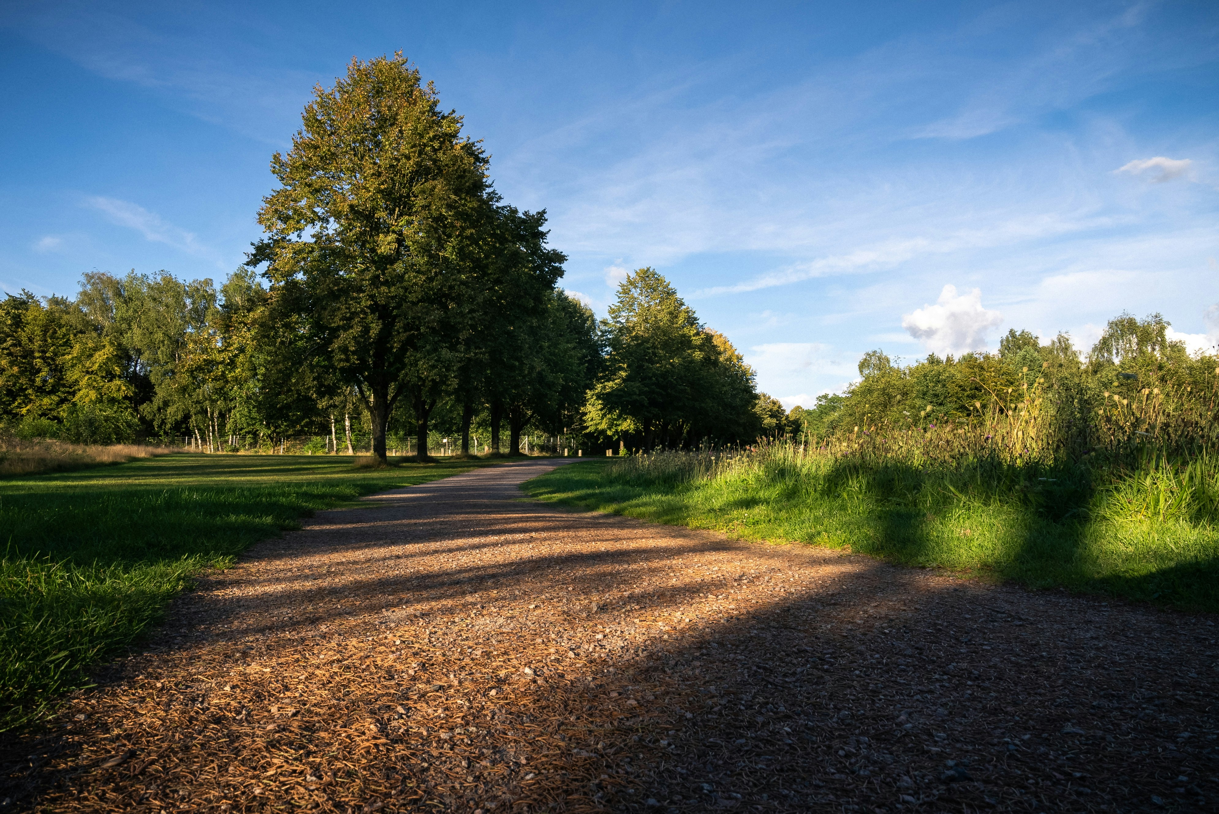 Photo by moritzluedtke