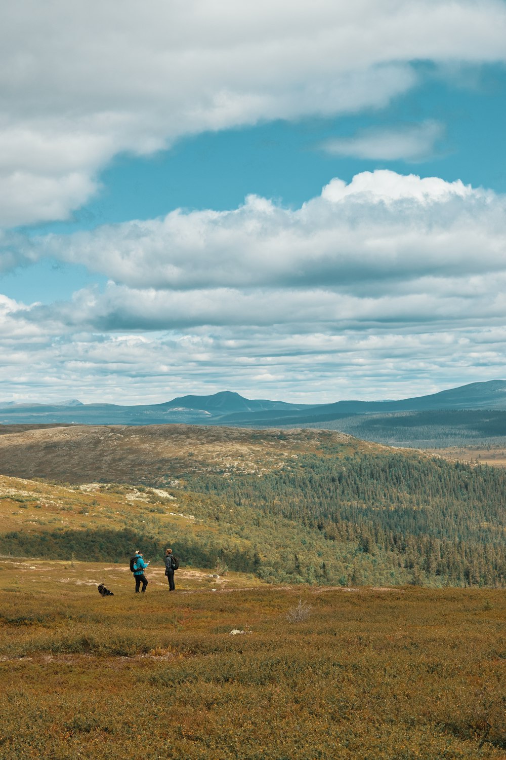 2 people walking on brown field under blue and white cloudy sky during daytime