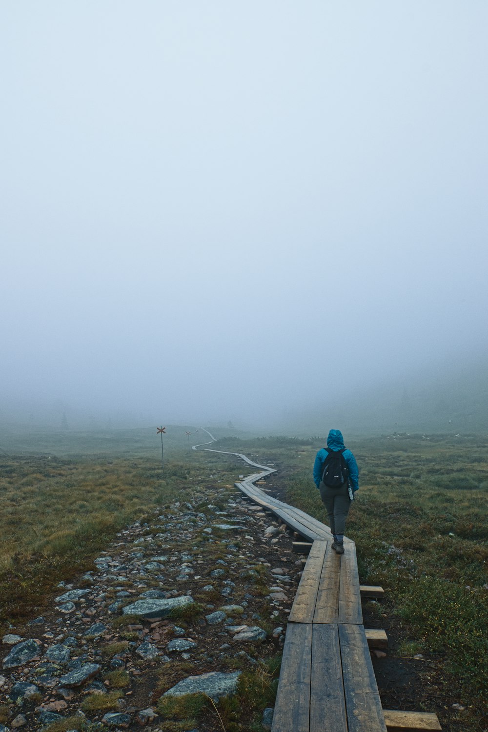 man in blue jacket walking on pathway during daytime