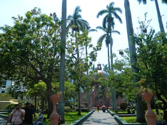 Community green space with benches and families enjoying the outdoors at Florae.