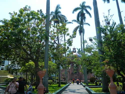 Community green space with benches and families enjoying the outdoors at Florae.