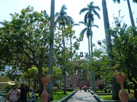 A lush park with tall palm trees and various green plants surrounds a central pavilion or gazebo structure. Several people are walking or sitting on benches, enjoying the outdoor space.