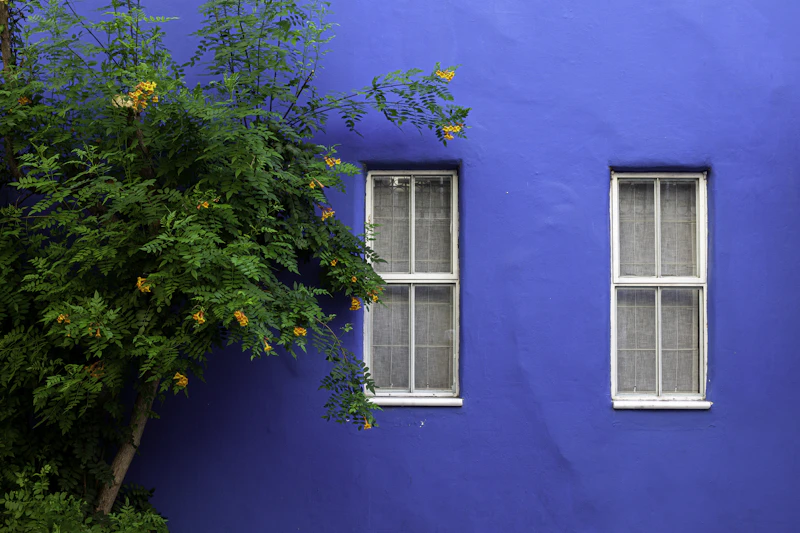 Casa com parede externa azul