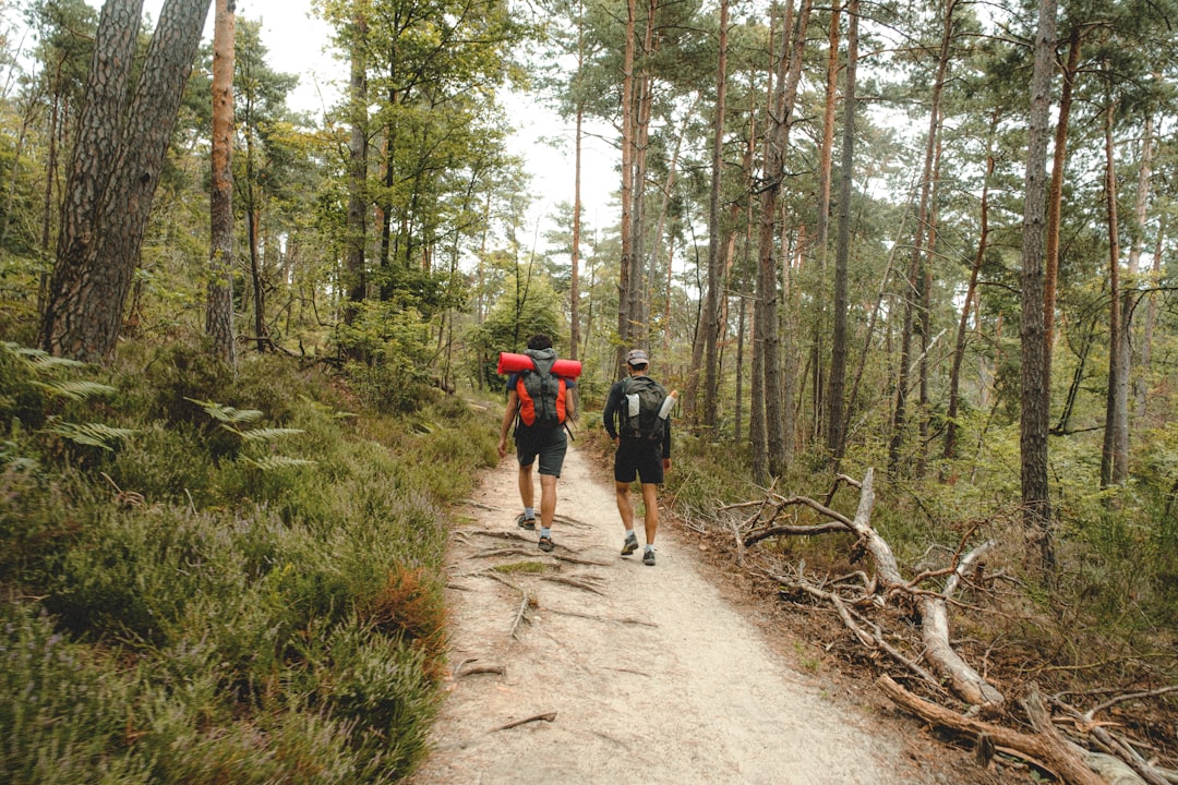 man in red jacket walking on dirt road between trees during daytime