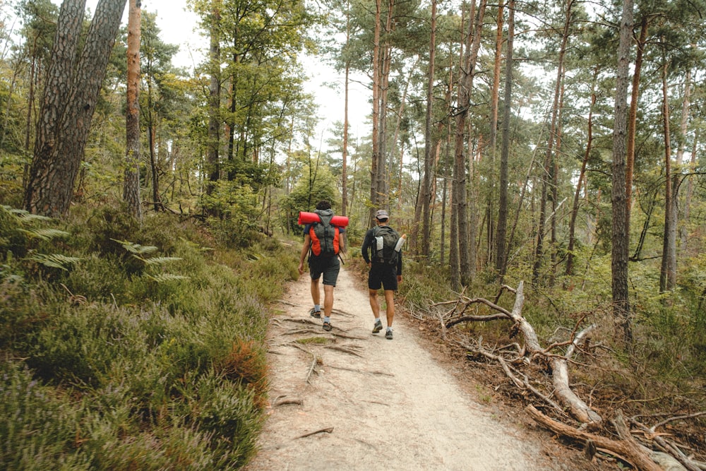 man in red jacket walking on dirt road between trees during daytime