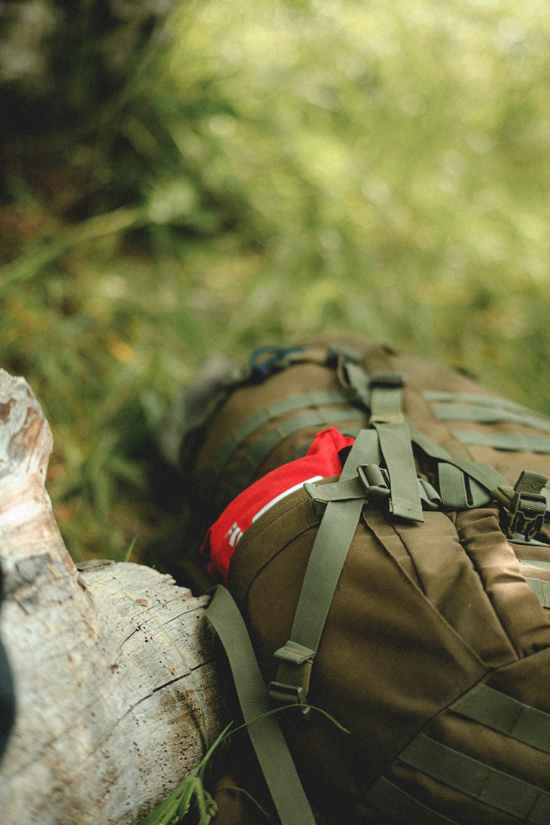 brown and black backpack on brown wood log