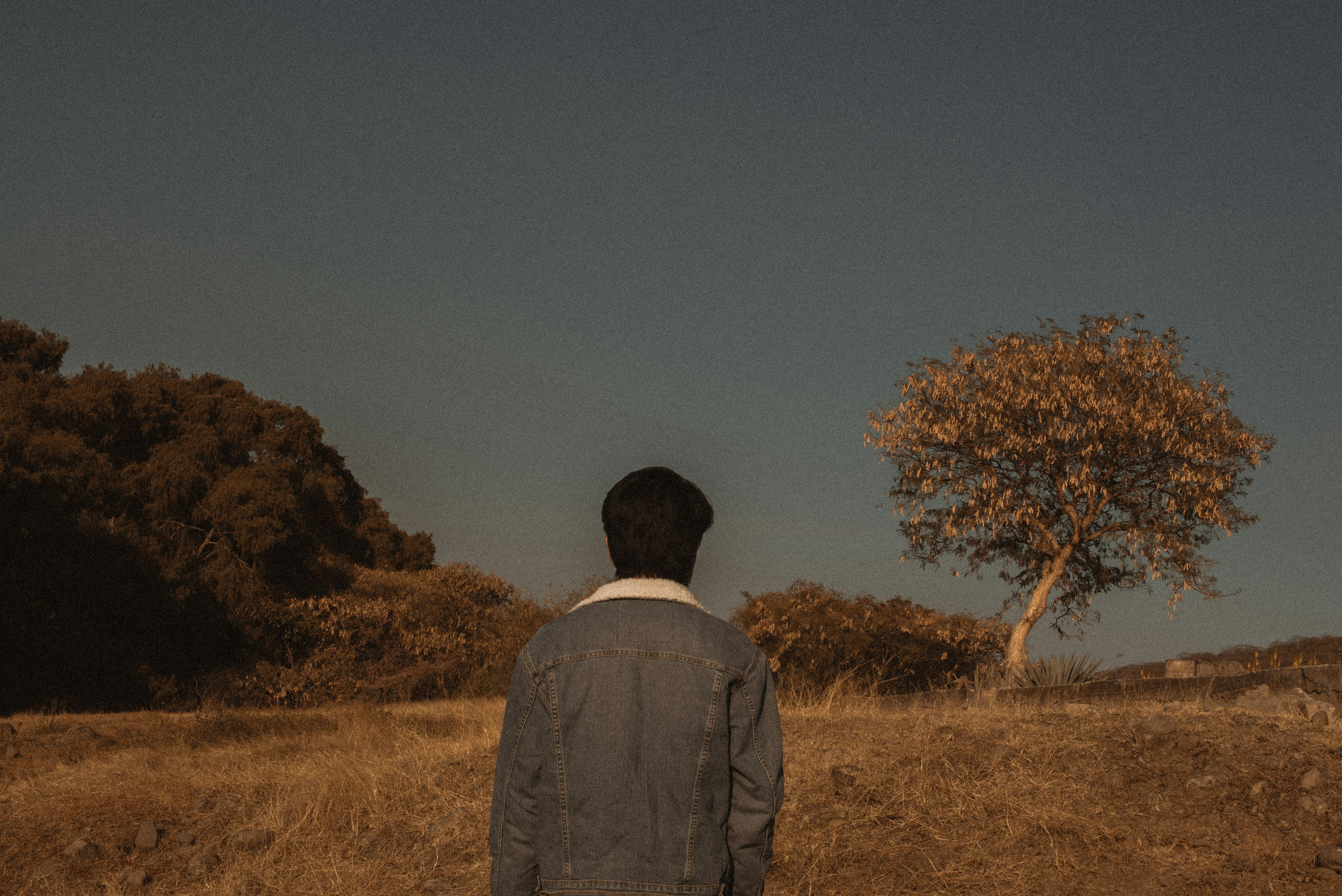 テイラー・スウィフト、チャートを席巻＆新ドキュメンタリーの予告も！ホリデーシーズンの音楽ヒット続々登場