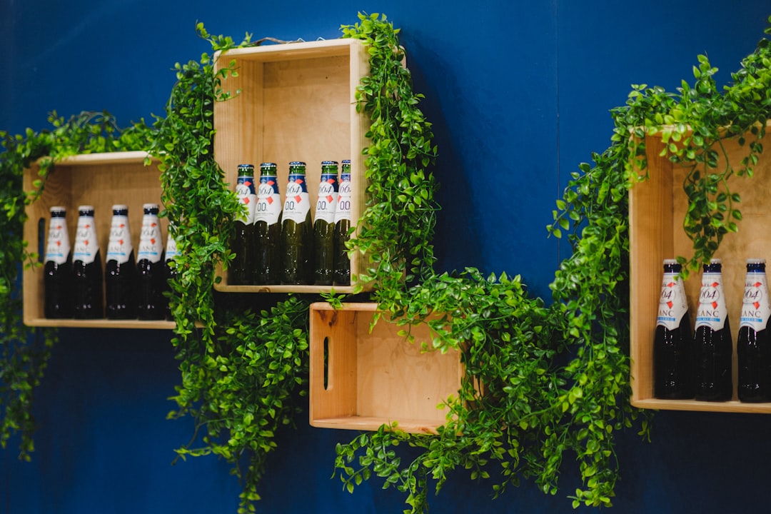 green plant on brown wooden shelf