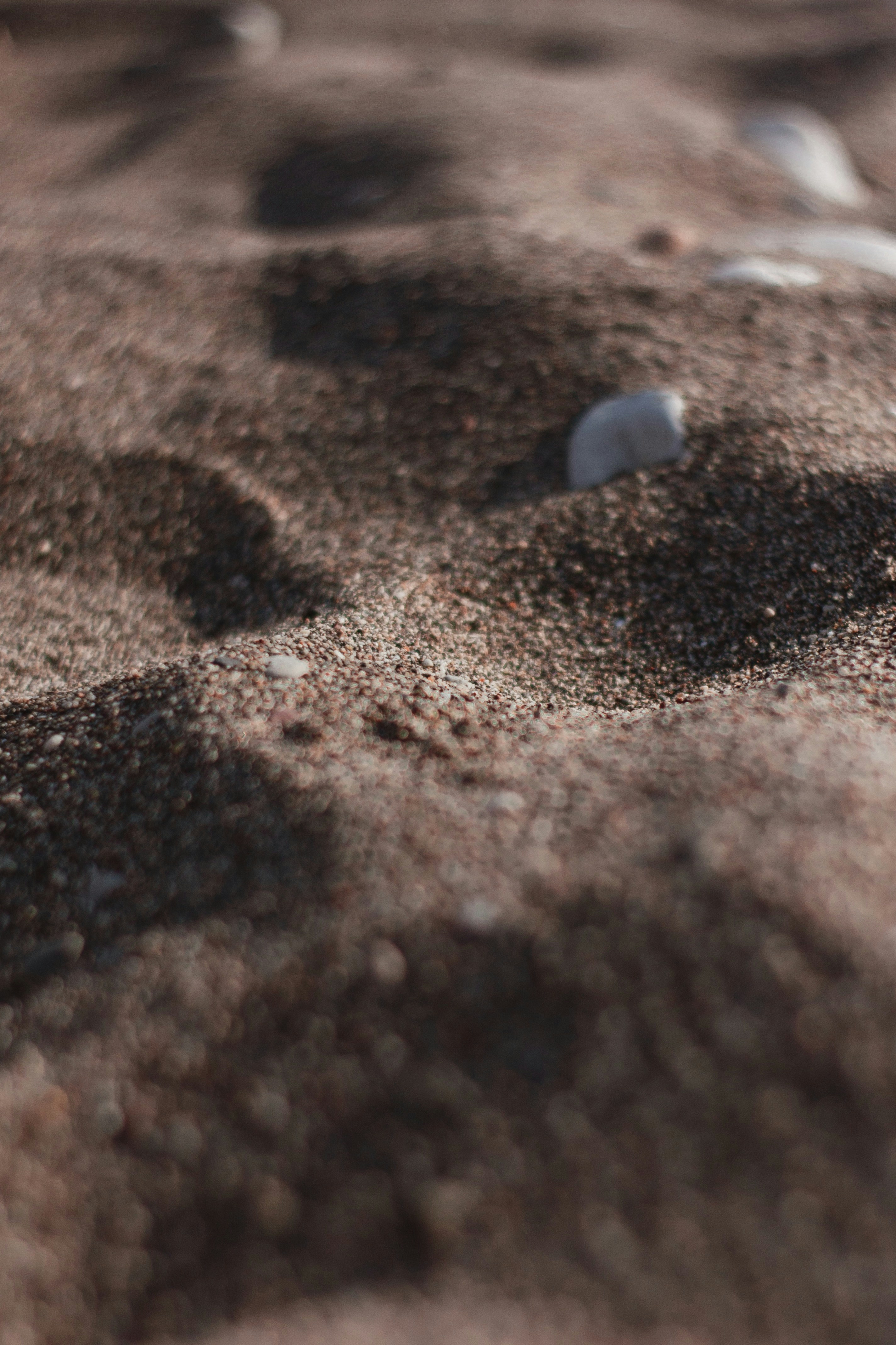 Photo by svitlana_rusak