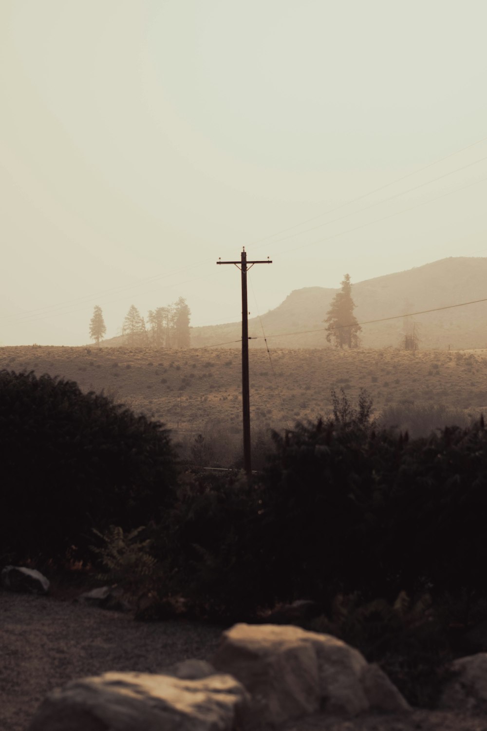 green trees near mountain during daytime