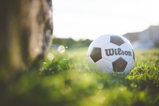 A soccer ball with the brand name Wilson rests on a grassy field, with sunlight streaming in from the right. The foreground is slightly blurred, emphasizing the ball and the grass it's situated on.