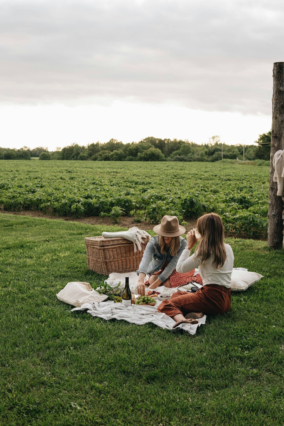 2 women sitting on green grass field reading book during daytime