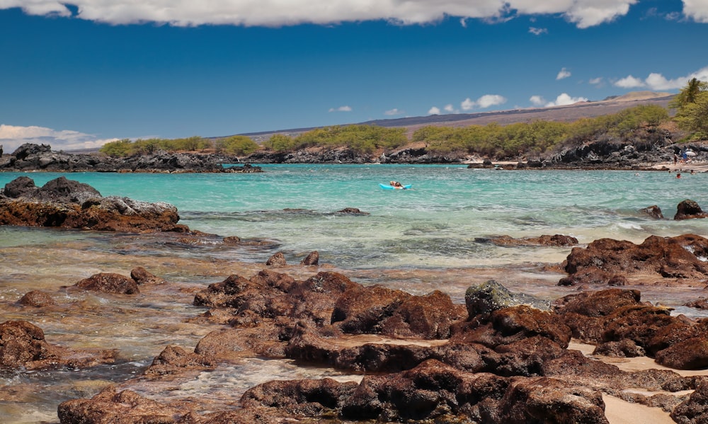 brown rocky shore with green trees and blue sea under blue sky during daytime