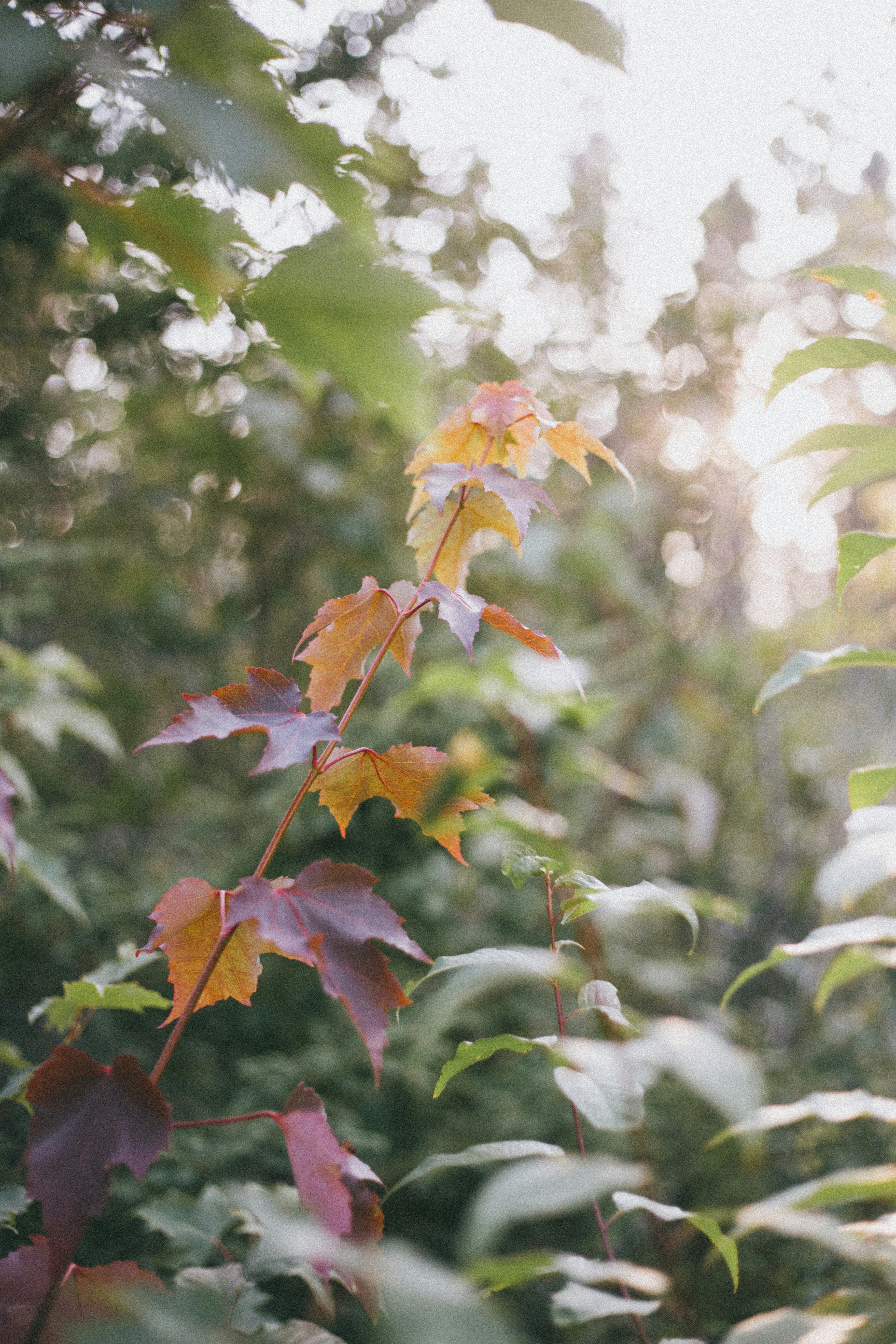 Photo by introspectivedsgn