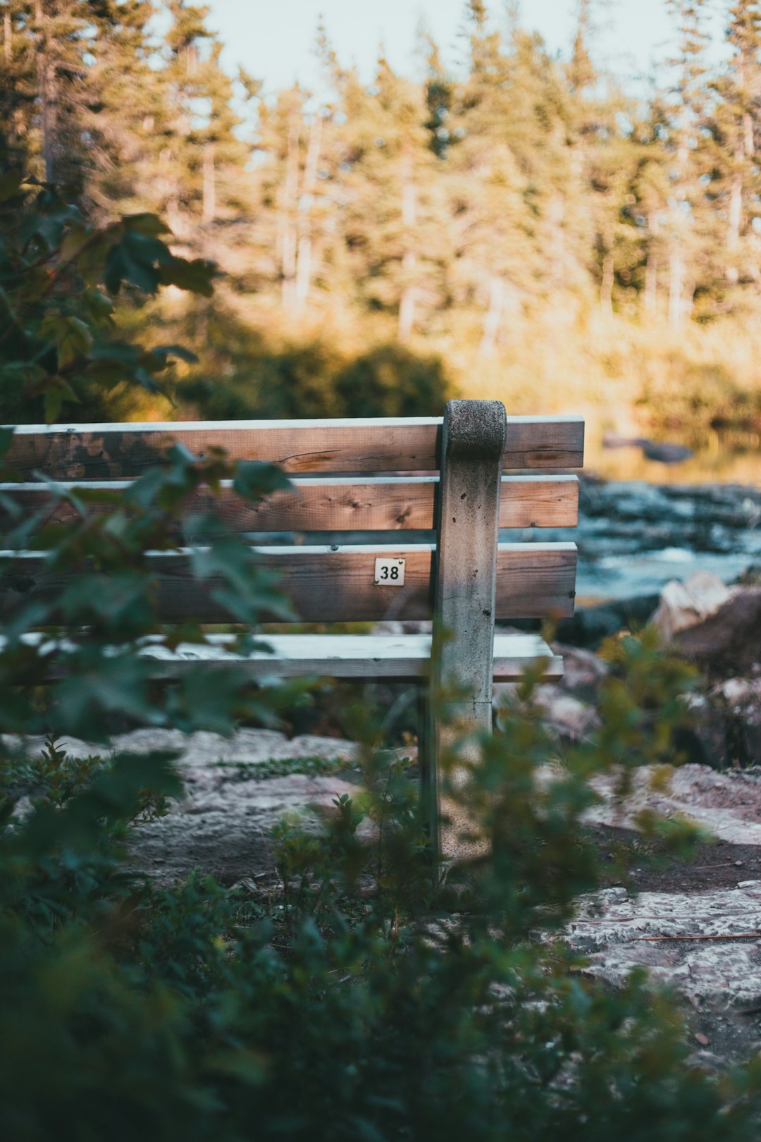 brown wooden bench near brown grass during daytime