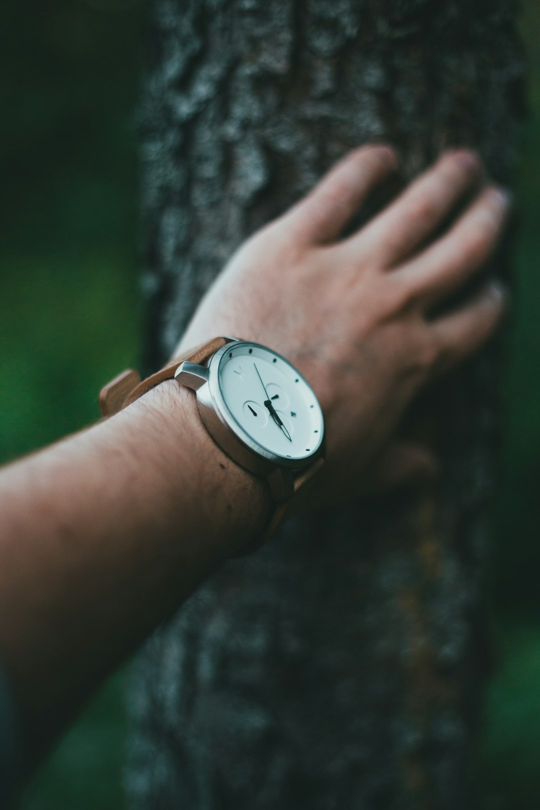 person wearing silver analog watch