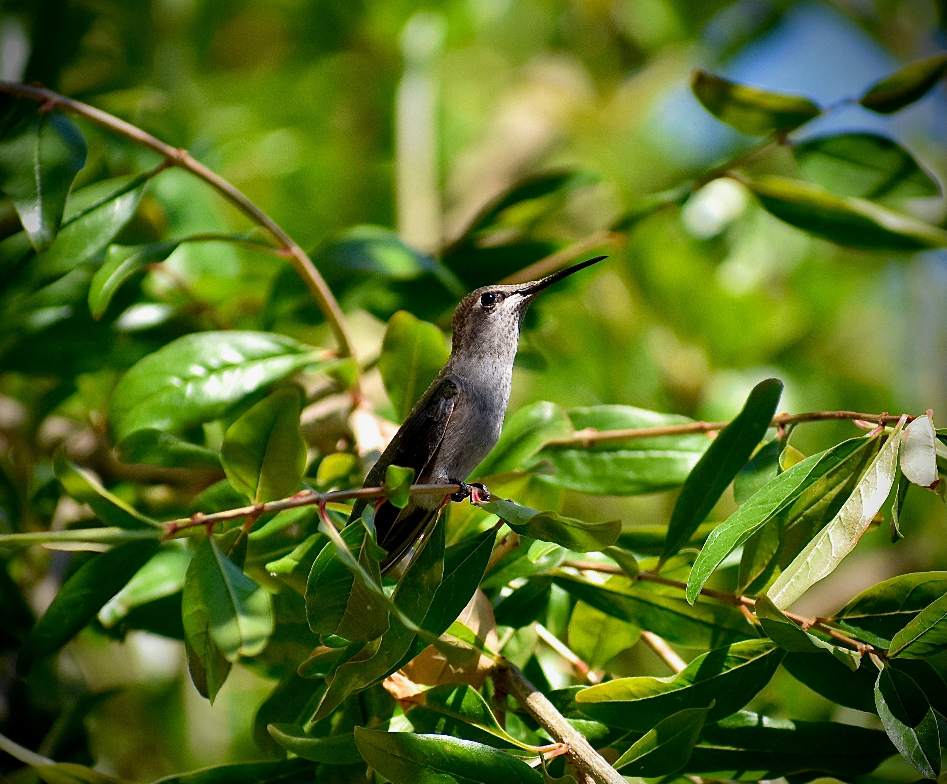 Photo by cristina_glebova