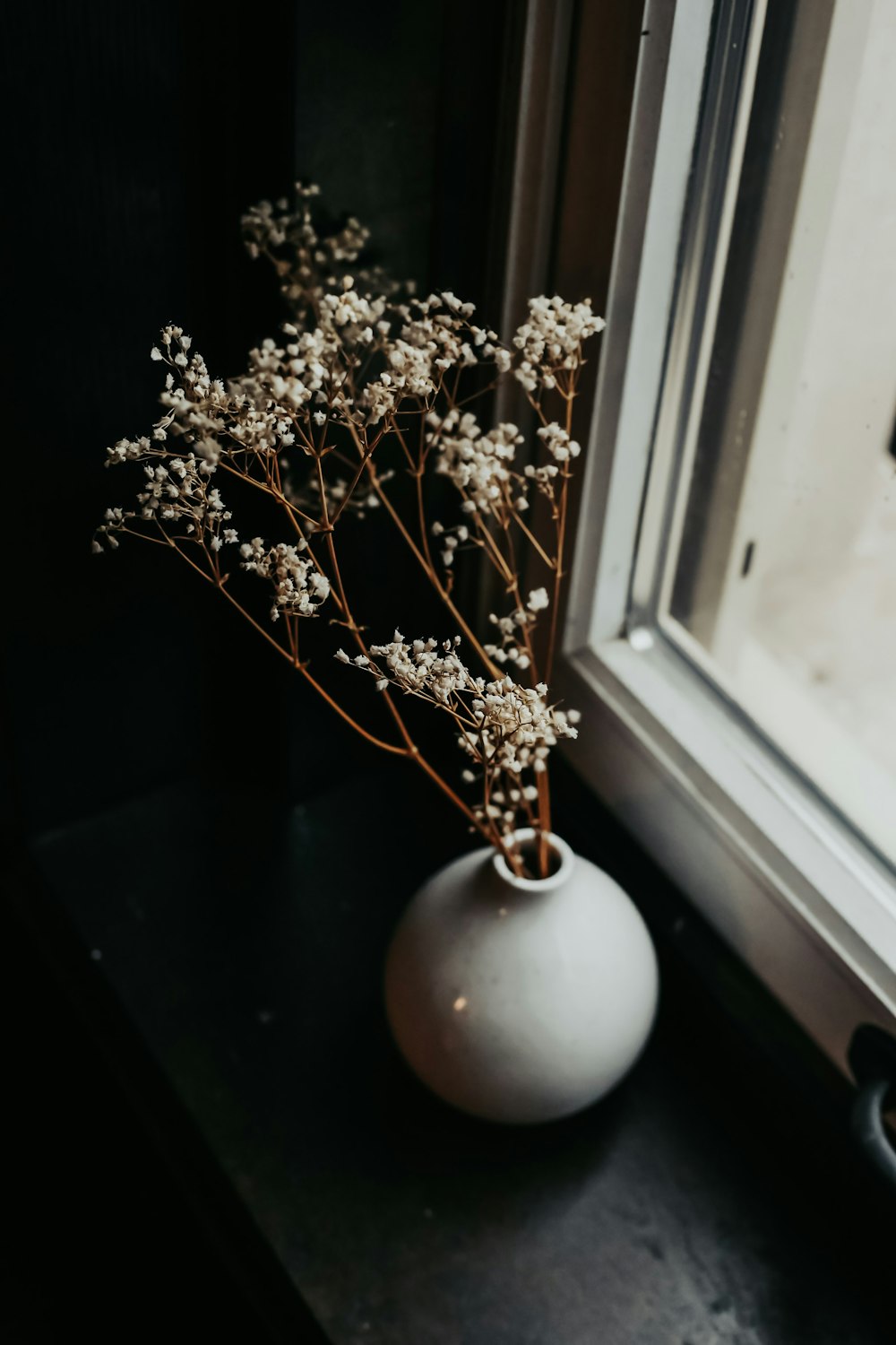 white ceramic vase with white flowers