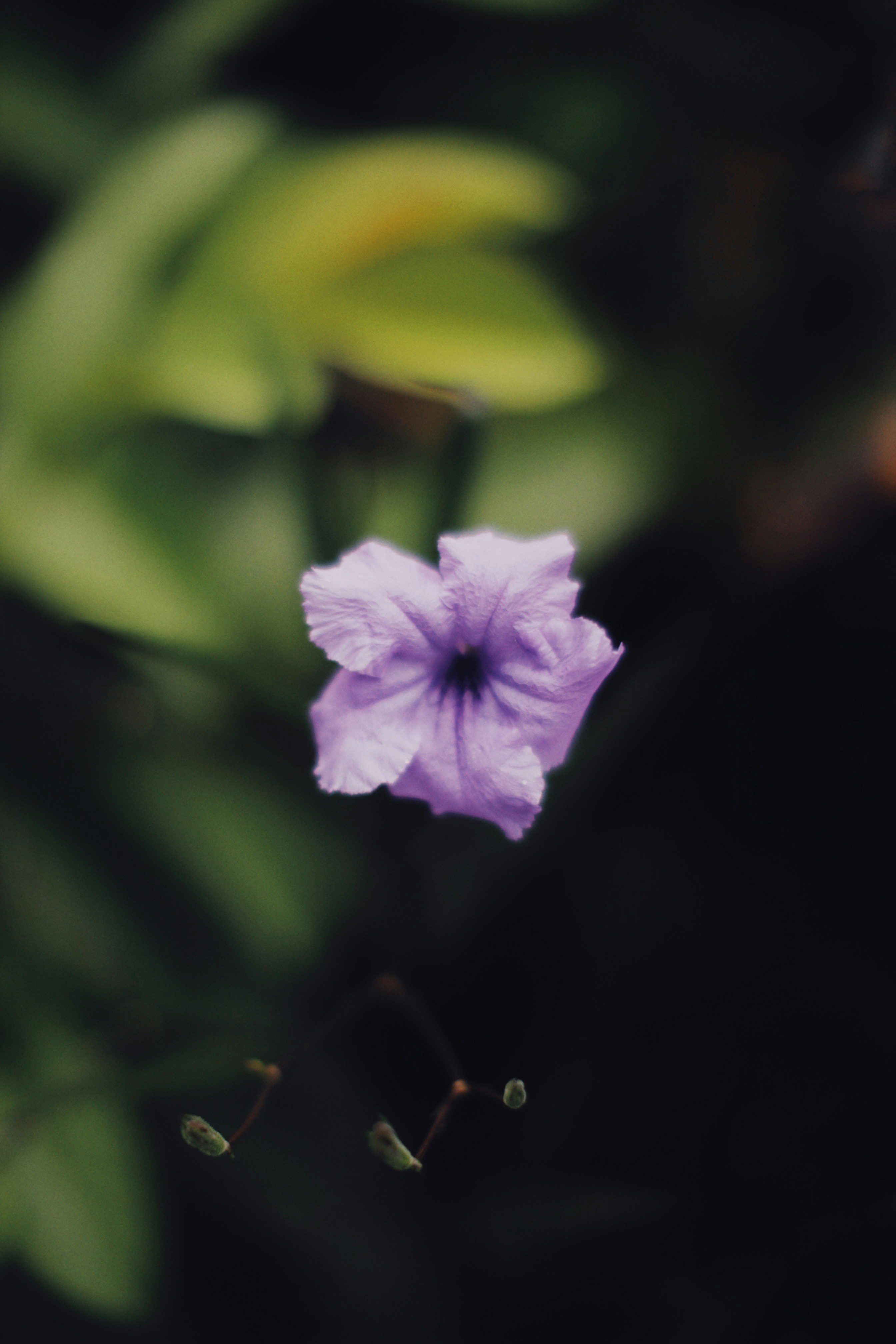 Photo by alexeydemidov