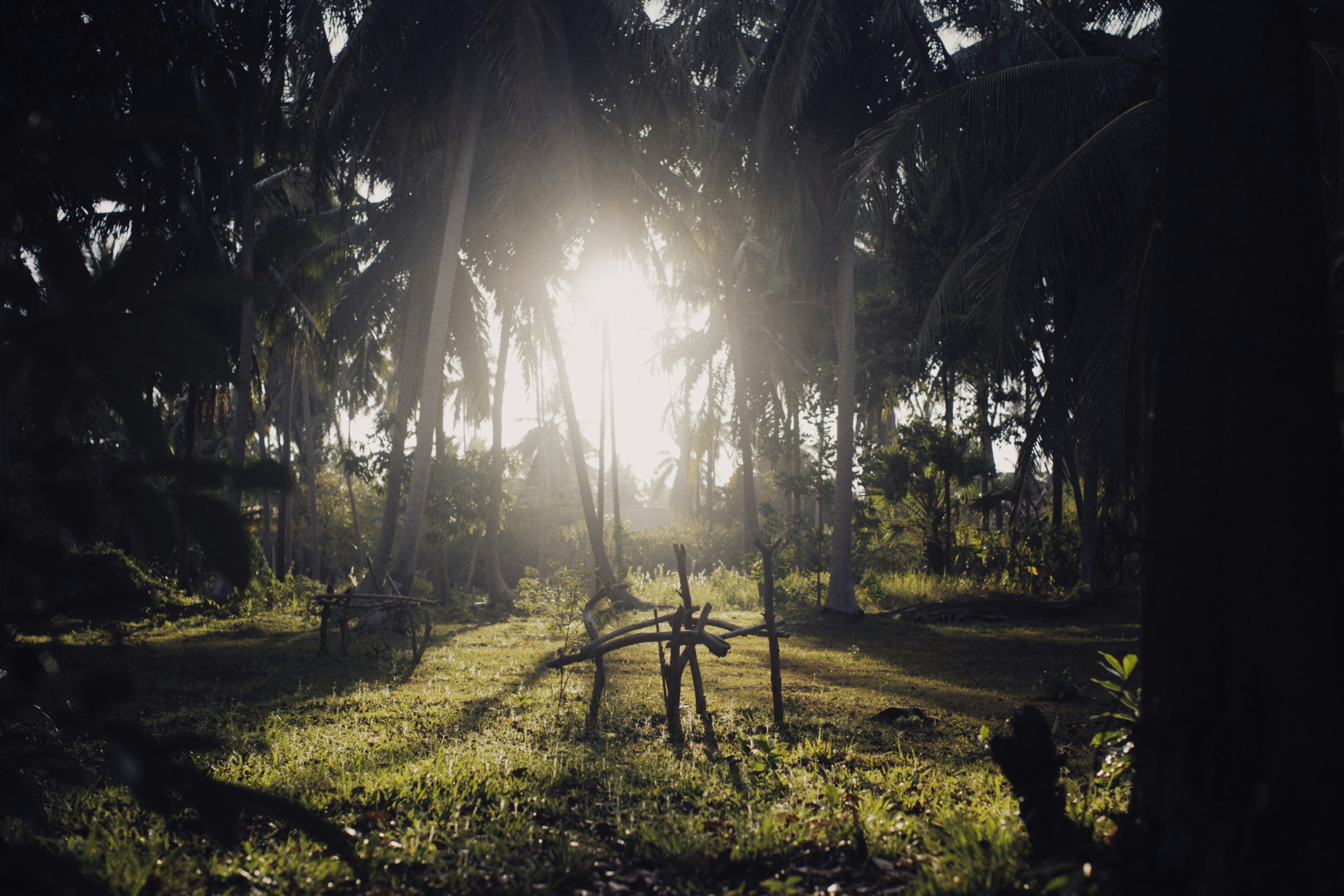 Photo by alexeydemidov