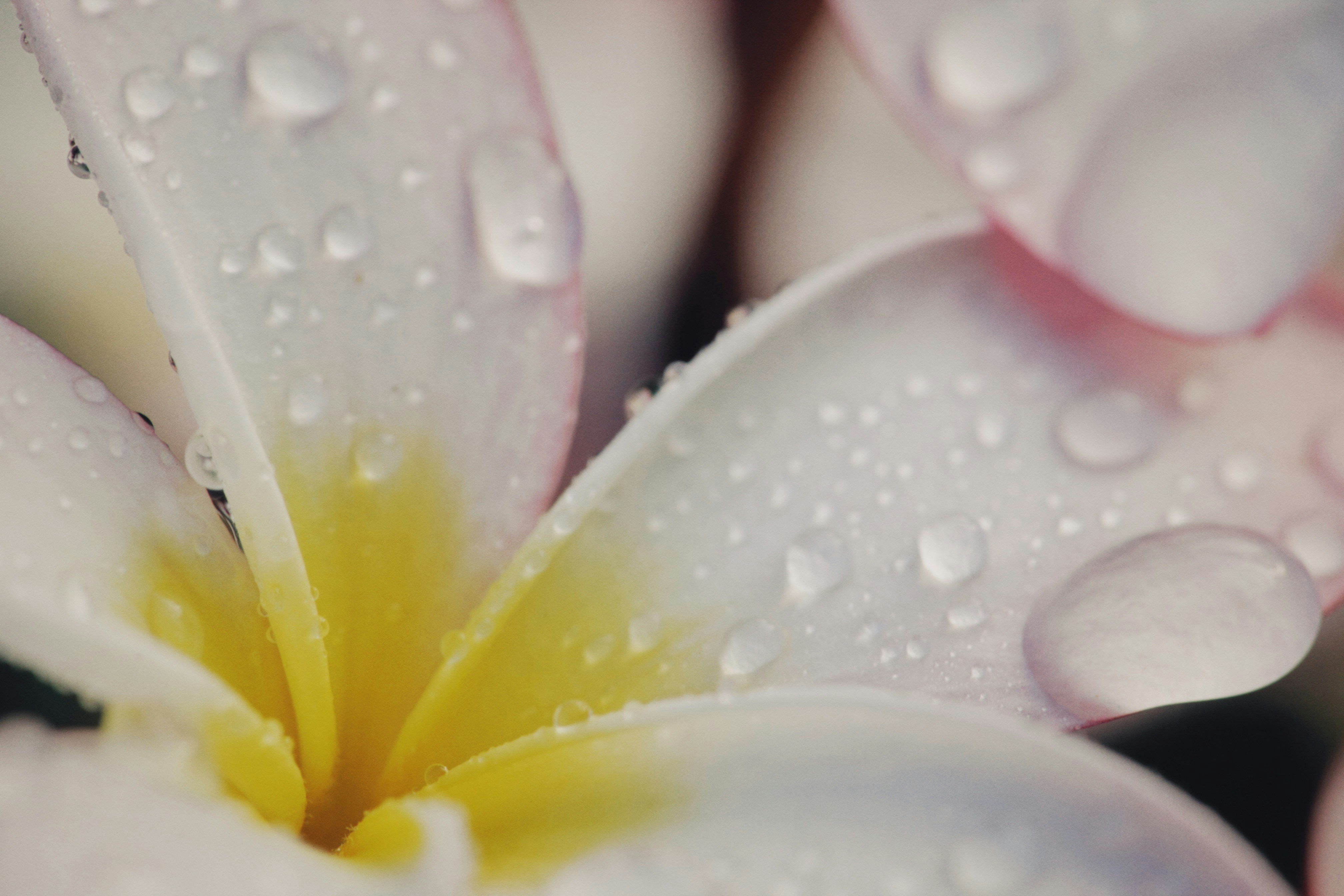 Photo by alexeydemidov