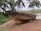 An old, weathered wooden boat is positioned on the shore, surrounded by lush greenery and palm trees. The boat is propped up with logs and appears to be undergoing repairs or maintenance. The background features a calm body of water, possibly a river or lake, under a cloudy sky.