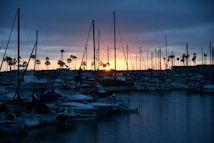 A marina filled with various sailboats and yachts, silhouetted against a vibrant sunset. The sky displays a gradient of colors ranging from deep blue to warm orange near the horizon. Palm trees line the background, adding to the serene, coastal atmosphere.