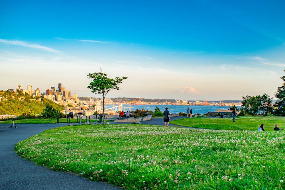 people walking on green grass field near body of water during daytime