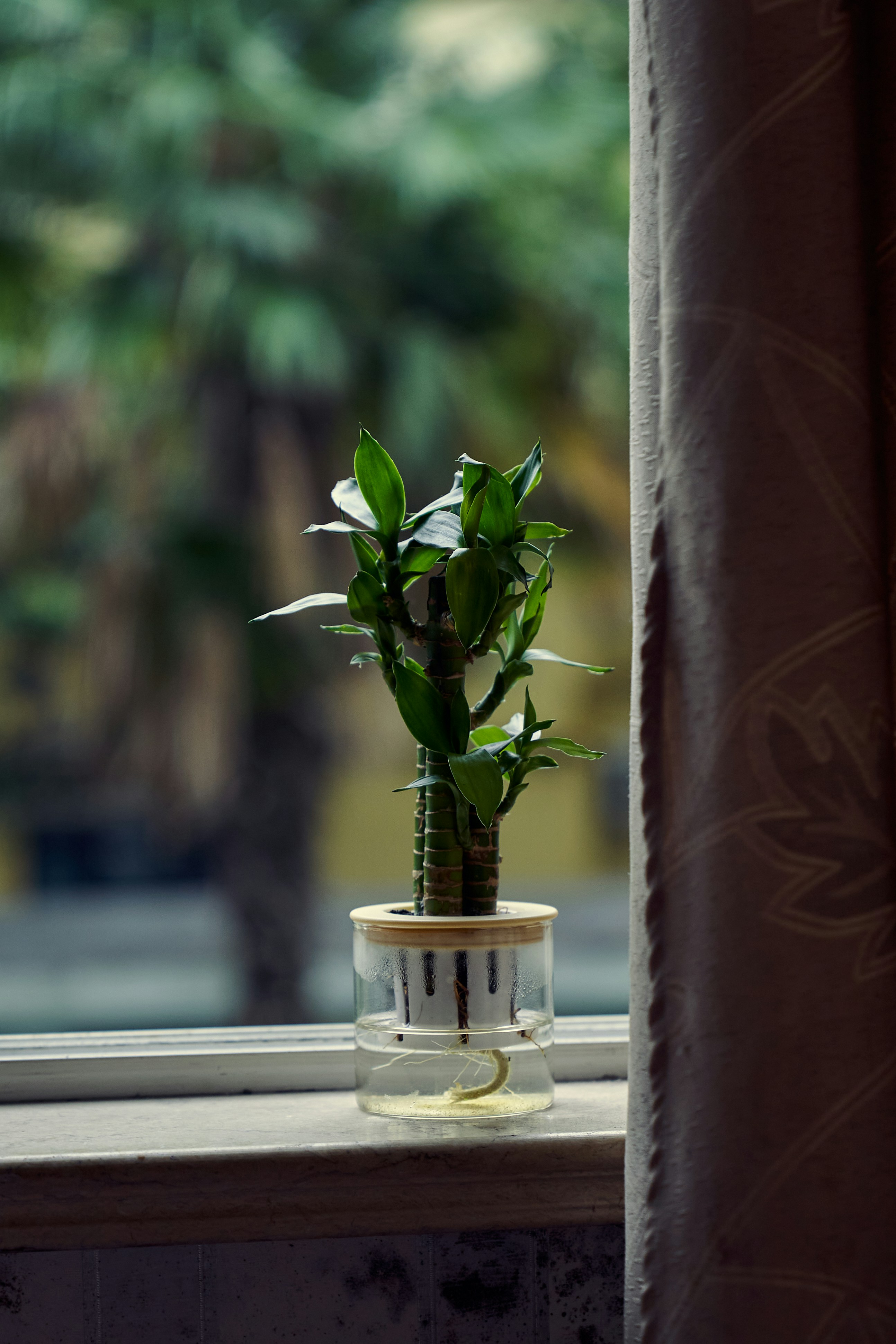 Photo by xingyechiang