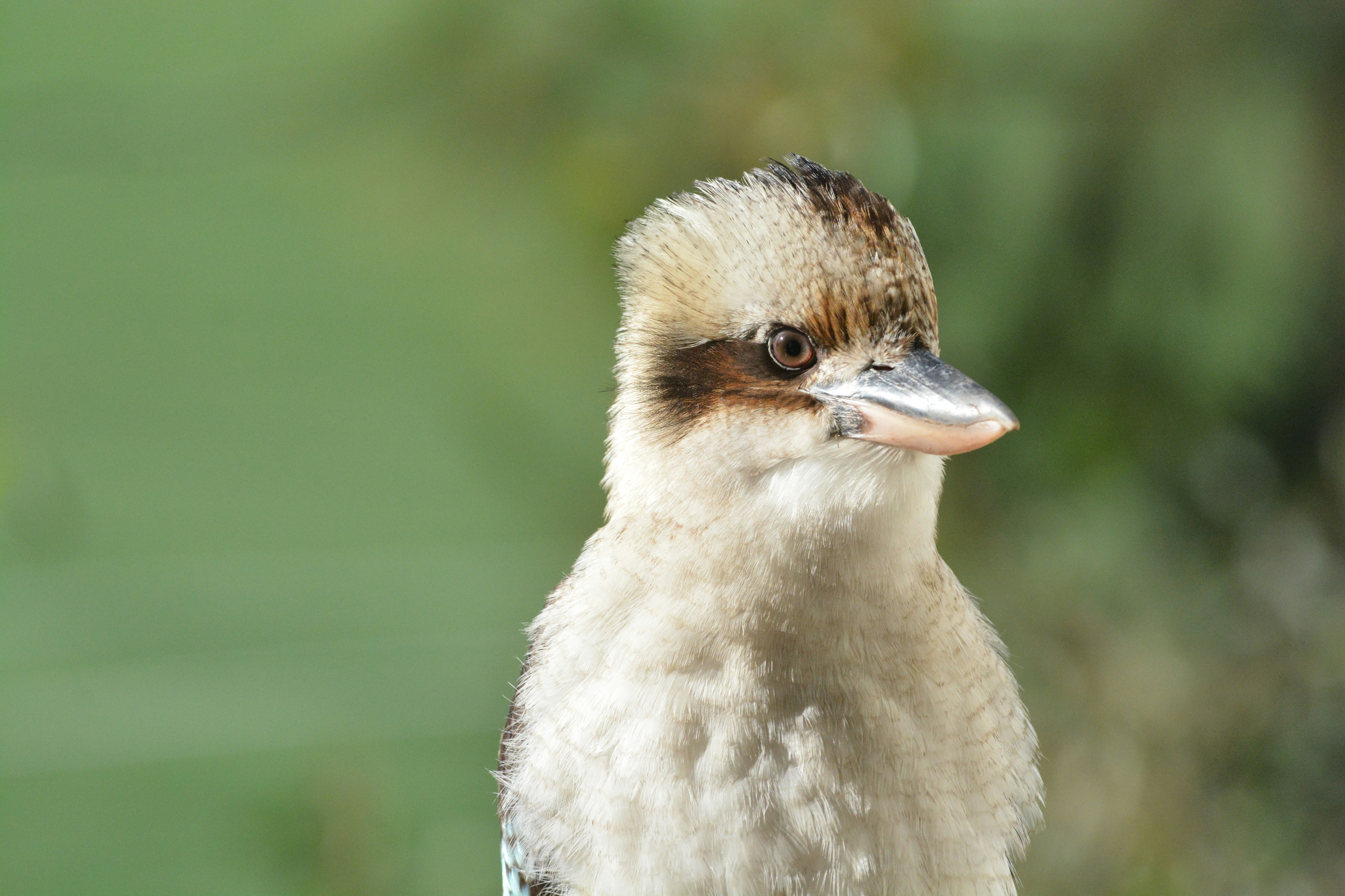 Photo by bluefrog1965