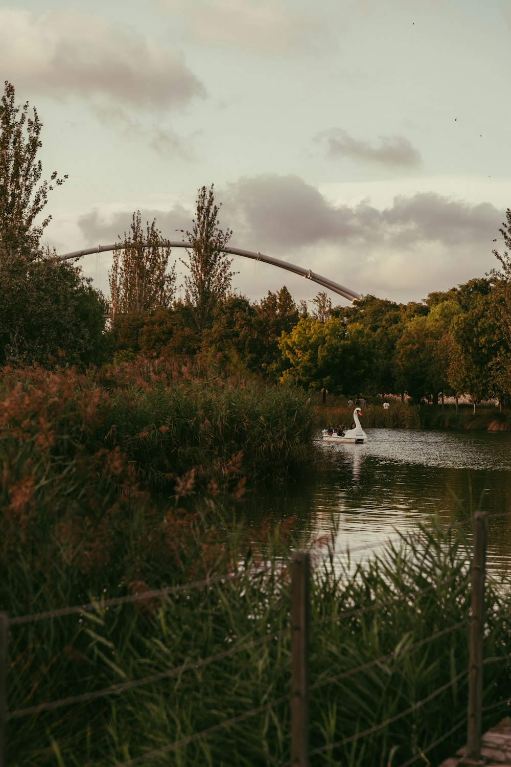 green trees beside river under cloudy sky during daytime