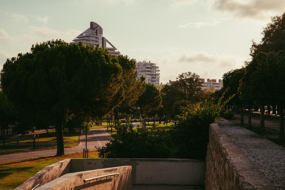 green trees near white concrete building during daytime