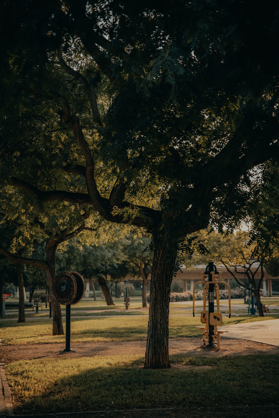 people walking on park during daytime