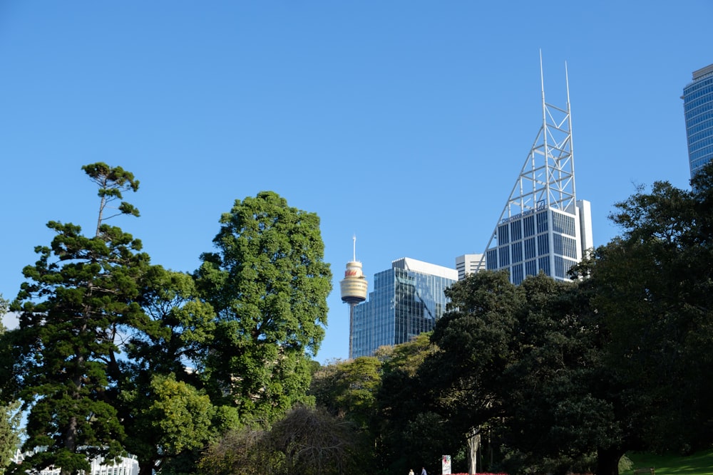 green trees near white building during daytime