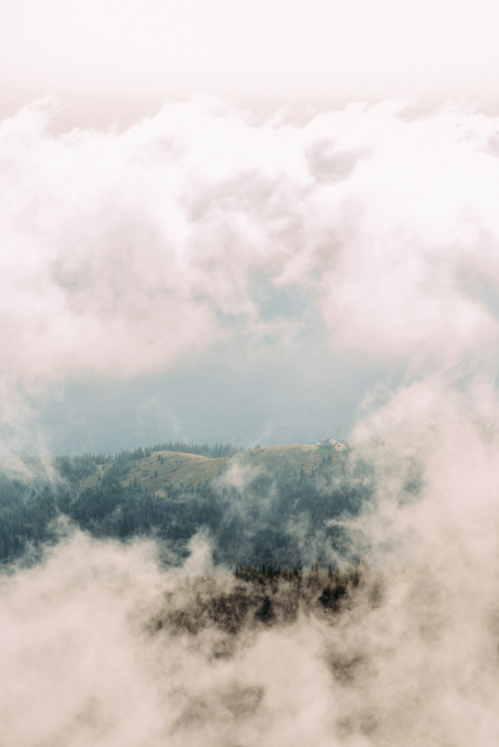 green trees on mountain under white clouds during daytime