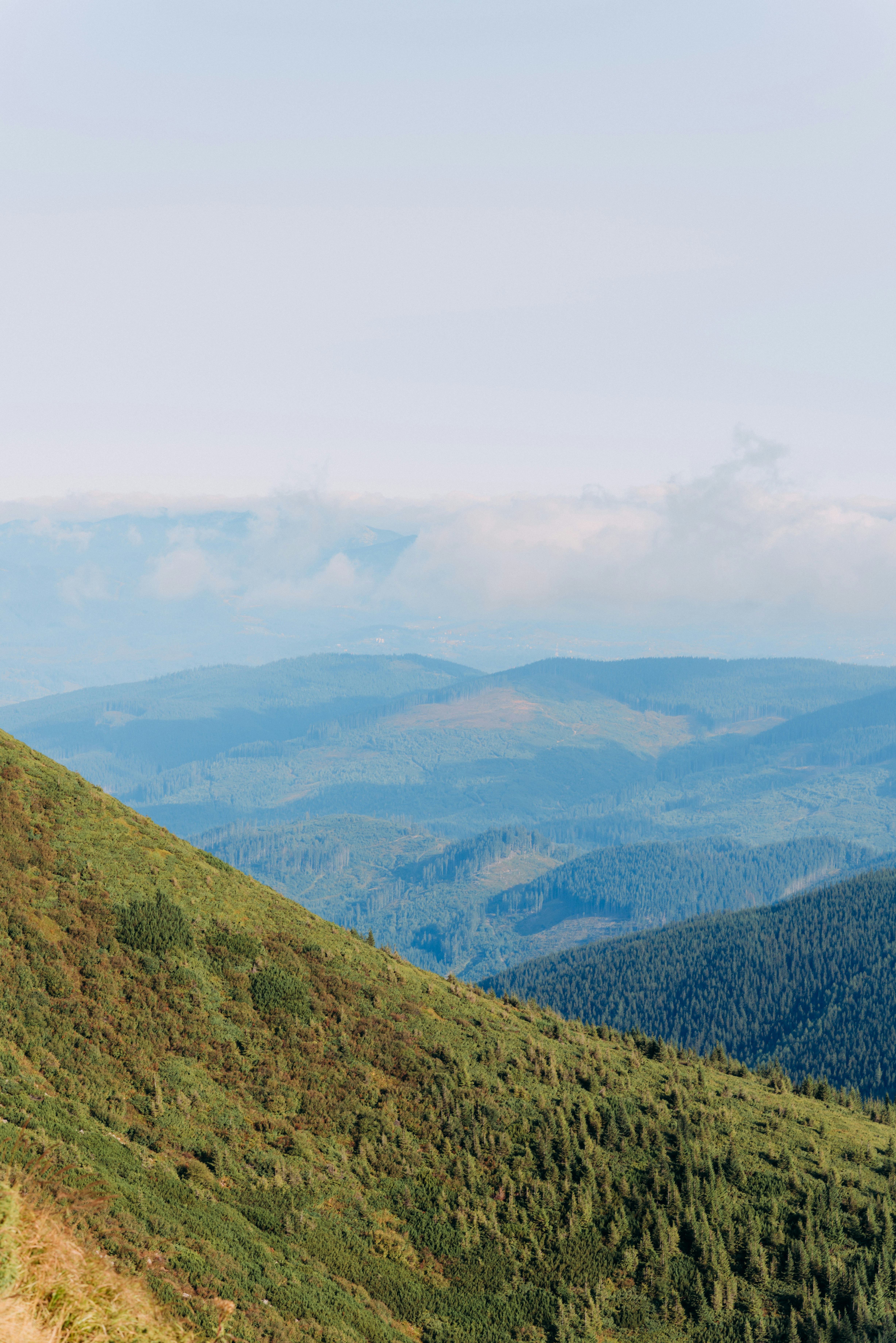 Photo by eugenivy_now