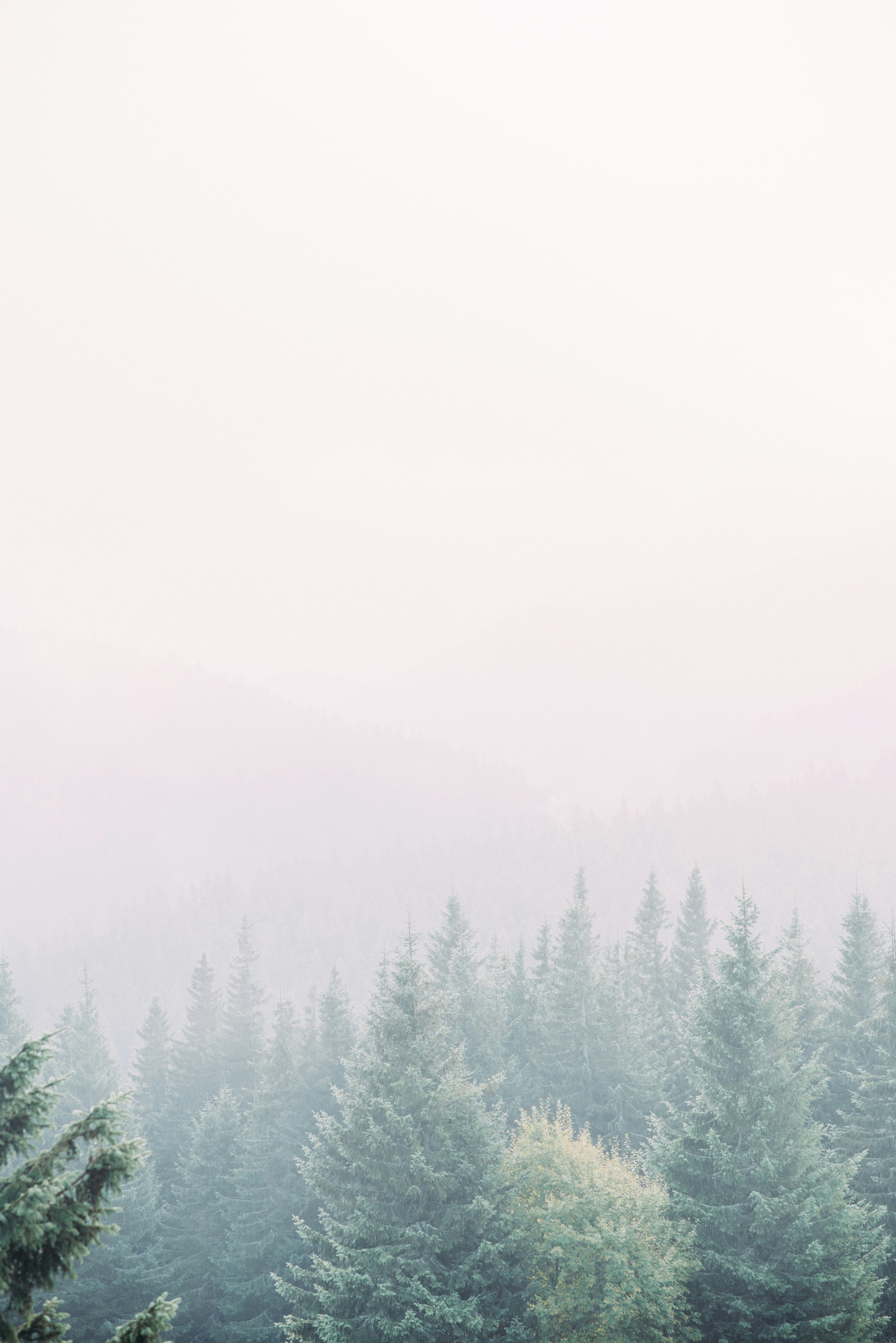 Photo by eugenivy_now